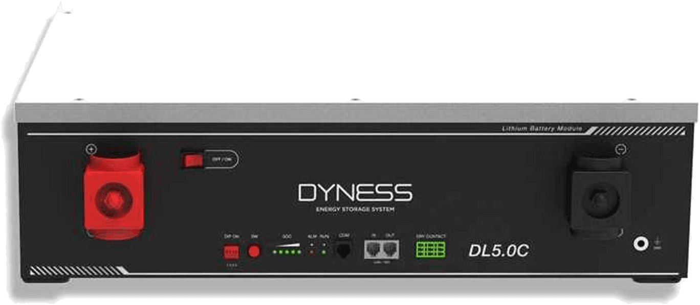 Dyness DL5.0C Heating (5,12 кВт*год/ 51,2 В)