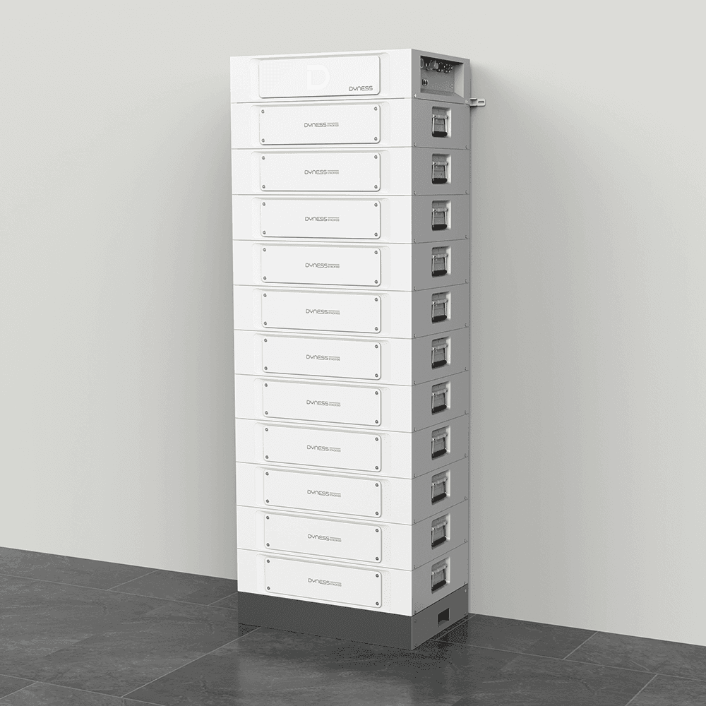 Dyness Stack100 S51100 Common (5,12 кВт*год/ 51,2В HV)